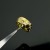 gold  